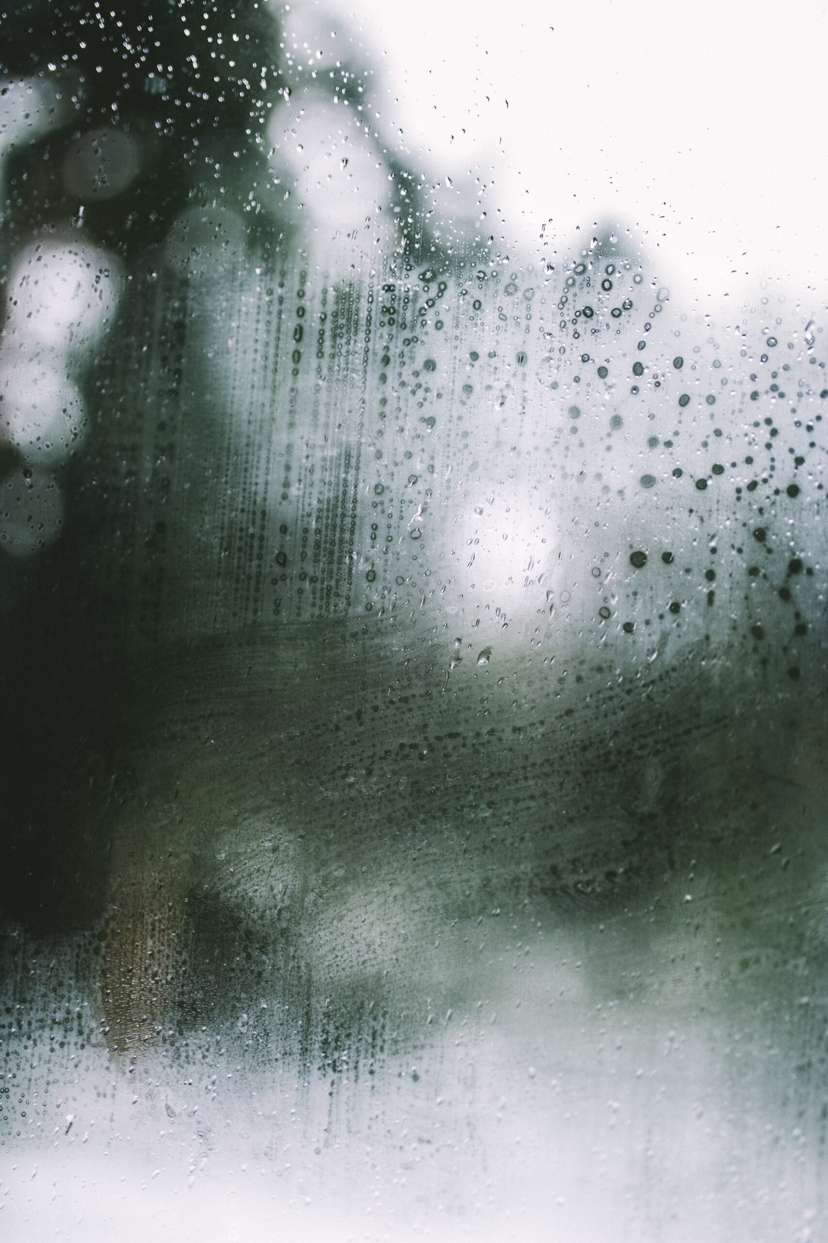 cole-keister-SG4fPCsywj4-unsplash